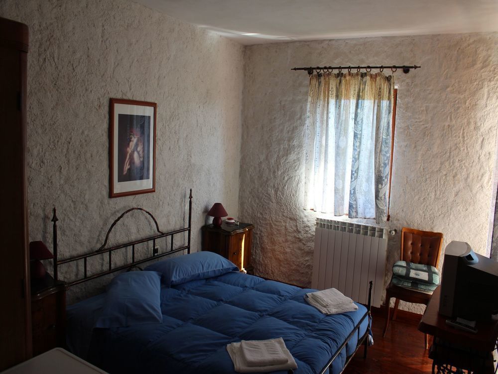 Guest house And Feral