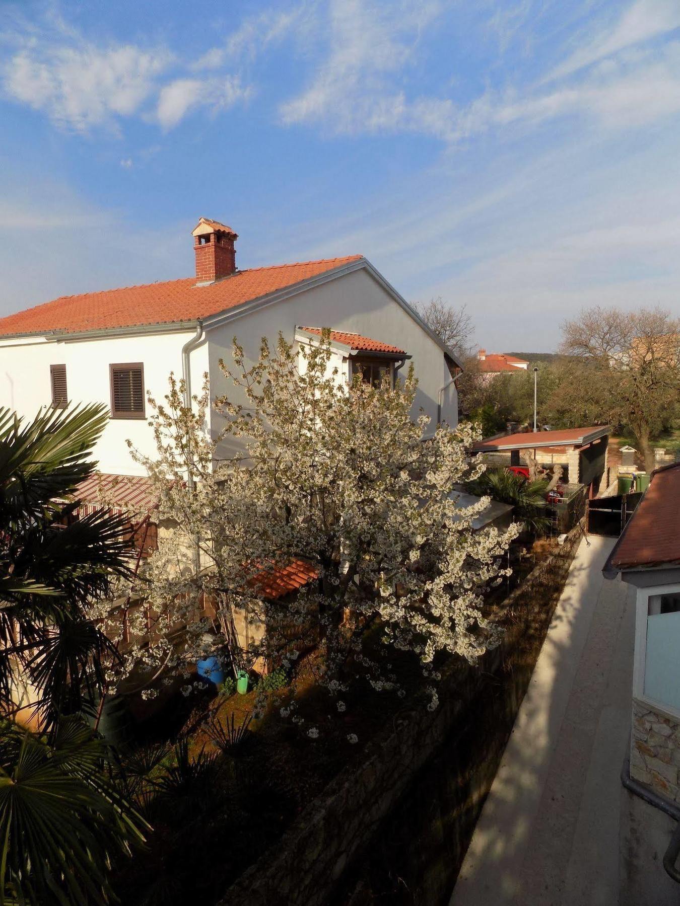 Pensjonat And Feral Rovinj